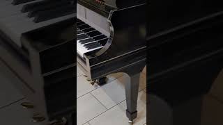 Heintzman grand Piano  Outstanding [upl. by Cortie]