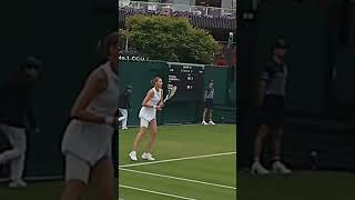 Karolína Plíšková Effortless Backhand Power tennis backhand pliskova [upl. by Atnes]