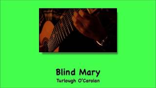 quotBlind Maryquot by Turlough OCarolan arranged by Duck Baker [upl. by Bunde]