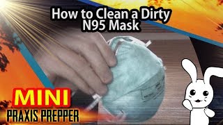 How to Clean Your N95 Respirator Mask for ReUse [upl. by Dulla]