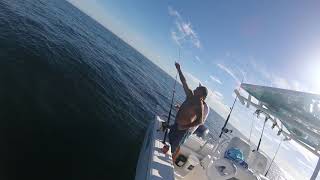 Nearshore Fishing off of Charleston SC [upl. by Strickler]