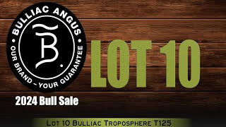 Lot 10 Bulliac Troposphere T125 [upl. by Annyl]