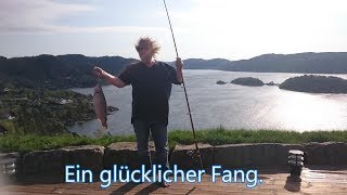 Norwegen Ferienhaus am Fjord in Südnorwegen bei Lyngdal mit Angler Glück [upl. by Heurlin]