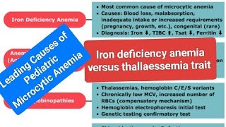 Leading Causes of Pediatric Microcytic Anemia [upl. by Adyaj928]