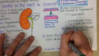 CARDIOVASCULAR SYSTEM Pathology lecture 1 Hypertensive Heart disease ARTERIOSCLEROSIS with all impo [upl. by Ylelhsa]