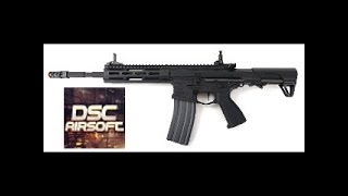 Cm16 Raider L 20E GampG  Review  DSC AIRSOFT [upl. by Ranger]