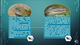 Potencial de termorregulación en animales de sangre fría [upl. by Aleahs]