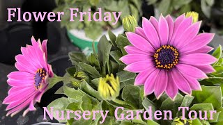 Flower Friday with Garden Tour gardentours Nursery Tour flowerfriday cottagegarden anemones [upl. by Ydal]