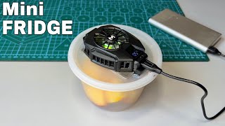 How to Make a Mini Fridge at Home  Travel Refrigerator  Miniatire Car Fridge Powered by USB [upl. by Ennairb435]