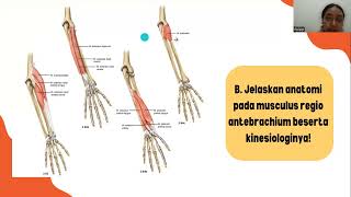 Anatomi Antebrachium dan Manus [upl. by Vihs732]