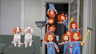 Dog vs Chucky Apocalypse Prank Funny Dogs Maymo amp Potpie vs Chucky Invasion [upl. by Zullo]