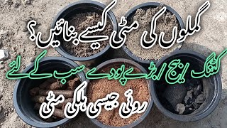 How To Grow Permanent Plants From Cuttingsbest soil for growing cuttings [upl. by Cudlip]