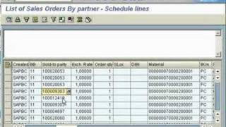 SAP SD VA05 Display Sales Documents [upl. by Jelene]