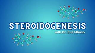 STEROIDOGENESIS Dr Eve Mboso [upl. by Roxanne798]