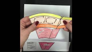 Earth Layer’s Foldable [upl. by Damien]