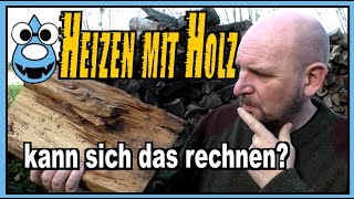 🔥Brennholz im Vergleich zu Gas Heizöl Pellets und Strom🤔 kann sich heizen mit Holz rechnen [upl. by Yeliac]