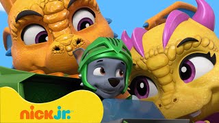 PAW Patrol  PAW Patrols beste babydierenreddingen Met babydinos aapjes amp draken  Nick Jr [upl. by Adnahcir]