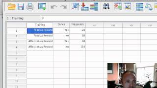 ChiSquare Test on SPSS [upl. by Michaud826]