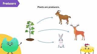 SCIENCE 6 ECOSYSTEM  Grade 6 [upl. by Karlen]