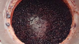 COME FARE IL VINO BIANCO FERMO IN CASA EP 3 CONTROLLO FERMENTAZIONE E TEMPERATURA [upl. by Moskow]