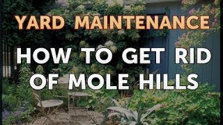 How to Get Rid of Mole Hills [upl. by Akehsal]