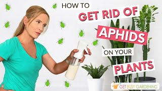 5 Tips to Get Rid of Aphids on Your Houseplants [upl. by Lanza285]