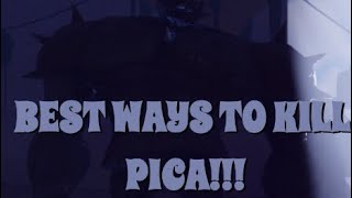 AOPG BEST WAYS TO KILL PICA  ALL THE BEST BUFFS [upl. by Ynaiffit593]