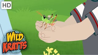 Wild Kratts  AMAZING Jumps Grasshopper [upl. by Lucilia447]