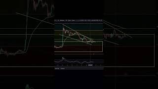 SHIB Altcoins Are Seriously About To Explode A Matter Of Time Shib shiba [upl. by Norvall]