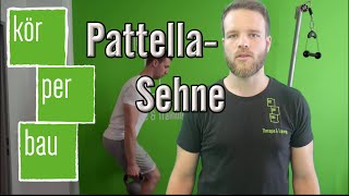 Exzentrisches Training bei Patellasehnenbeschwerden und Schmerzen [upl. by Drofiar]