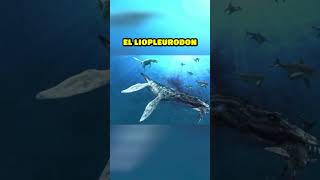 El Gigante Marino Prehistórico  Liopleurodon [upl. by Ennaid547]