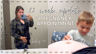 23 Week 🤰🏻 Pregnancy Appointment Pregnancy Update  Life after vacation Update [upl. by Nednyl]