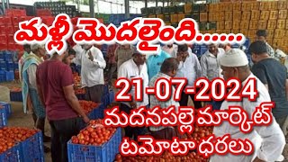 మదనపల్లి 🍅🍅🍅టమాటో మార్కెట్ ధరలుఈ రోజు టమోటా ధర Madanapalli Market 21072024ckgowthamvlogs [upl. by Arvind]