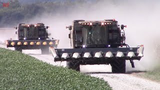 GLEANER S77 Combines on the Move in Corn Harvest [upl. by Nepil276]