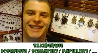 VISITE TAXIDERMISTE  EUBLEPHARIS [upl. by Ali]