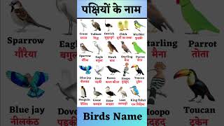 20 Birds name [upl. by Leonid]