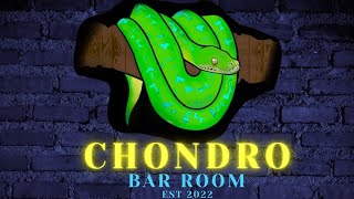 The Chondro Bar Room Acclimating Imported Green Tree Pythons GREEN TREE PYTHON SHOW [upl. by Erbe598]