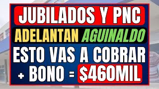 ✨ 460 MIL PESOS Aguinaldo  Bono  Aumento para los Jubilados y Pensionados  INFLACION MILEI [upl. by Merill]