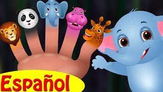 Familia Dedo Elefante Colección  Canciones infantiles en EspañolChuChu TV [upl. by Genny]