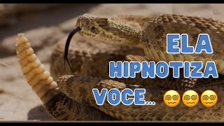 Uma cobra cascavel nao vai te atacar se voce souber isso cascavel cascavelparana cobrareview [upl. by Enrika]