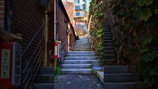 한국 감성 골목  The alley full of Korean sensibility [upl. by Sulamith]