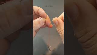 Learn the correct fishing knot tying technique [upl. by Novad]