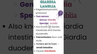 Giardia lamblia causes Giardiasis medzukhruf parasitology parasitic medicalfield [upl. by Tatianna230]