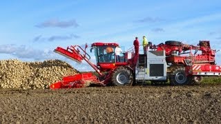 Holmer Terra Felis 2  Demo suikerbieten laden en nareinigen [upl. by Asnerek]