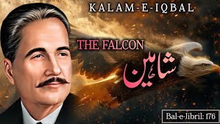 Prindon Ki Dunya Ka Dervaish Hun Mein  Shaeen The Falcon by Allama Iqbal [upl. by Bigner]