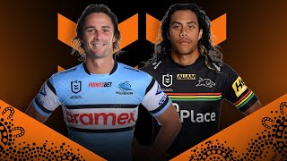 NRL 2024  Sharks v Panthers Round 12  Match Preview [upl. by Layap]