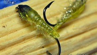 Mould Nymph  Fly Tying with GZingaro [upl. by Felicity]