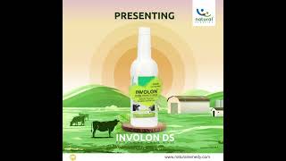 Natural Remedies  Cattle Health  Ruminants  Uterine Health  Involon [upl. by Oirogerg]