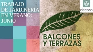 Trabajo de jardinería en verano junio  Balcones y terrazas [upl. by Beichner]