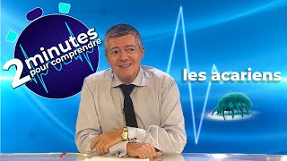 Les acariens  2 minutes pour comprendre [upl. by Nerhtak136]